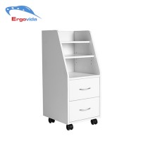 Mobile Storage Cabinet